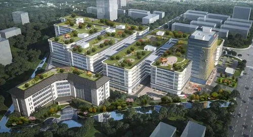 江門迎來企業(yè)投資熱潮，實(shí)業(yè)興城正當(dāng)時(shí)